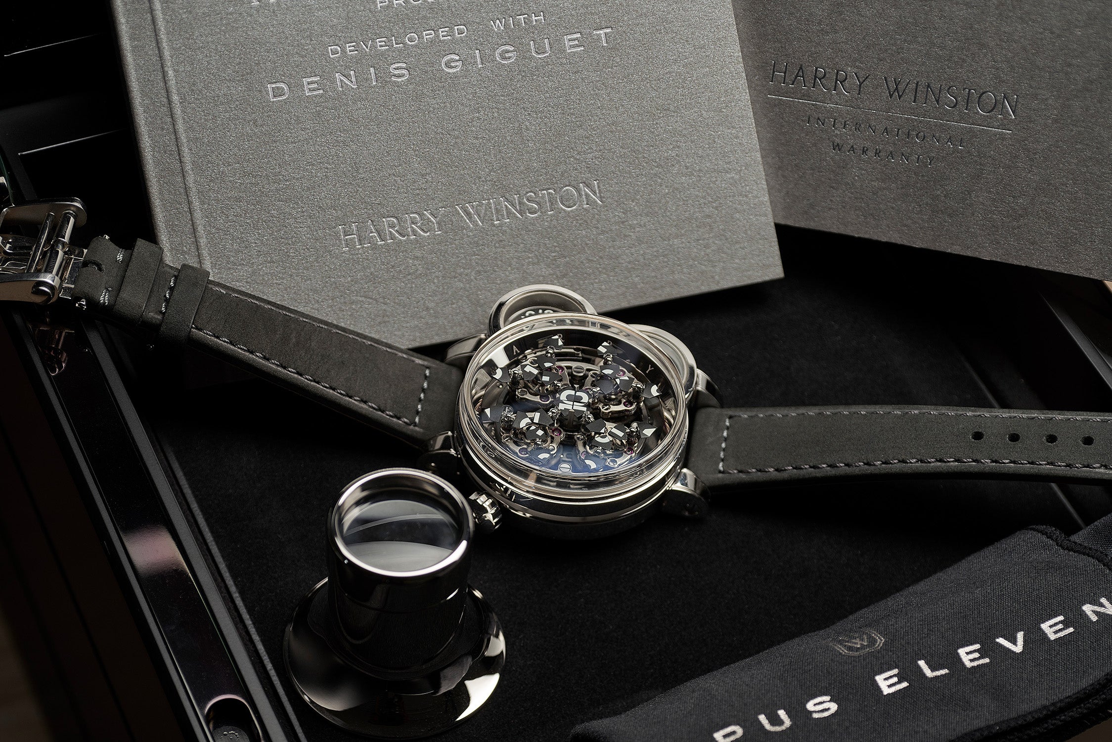 Harry Winston RETROSPECTIVE: 2000 - 2020