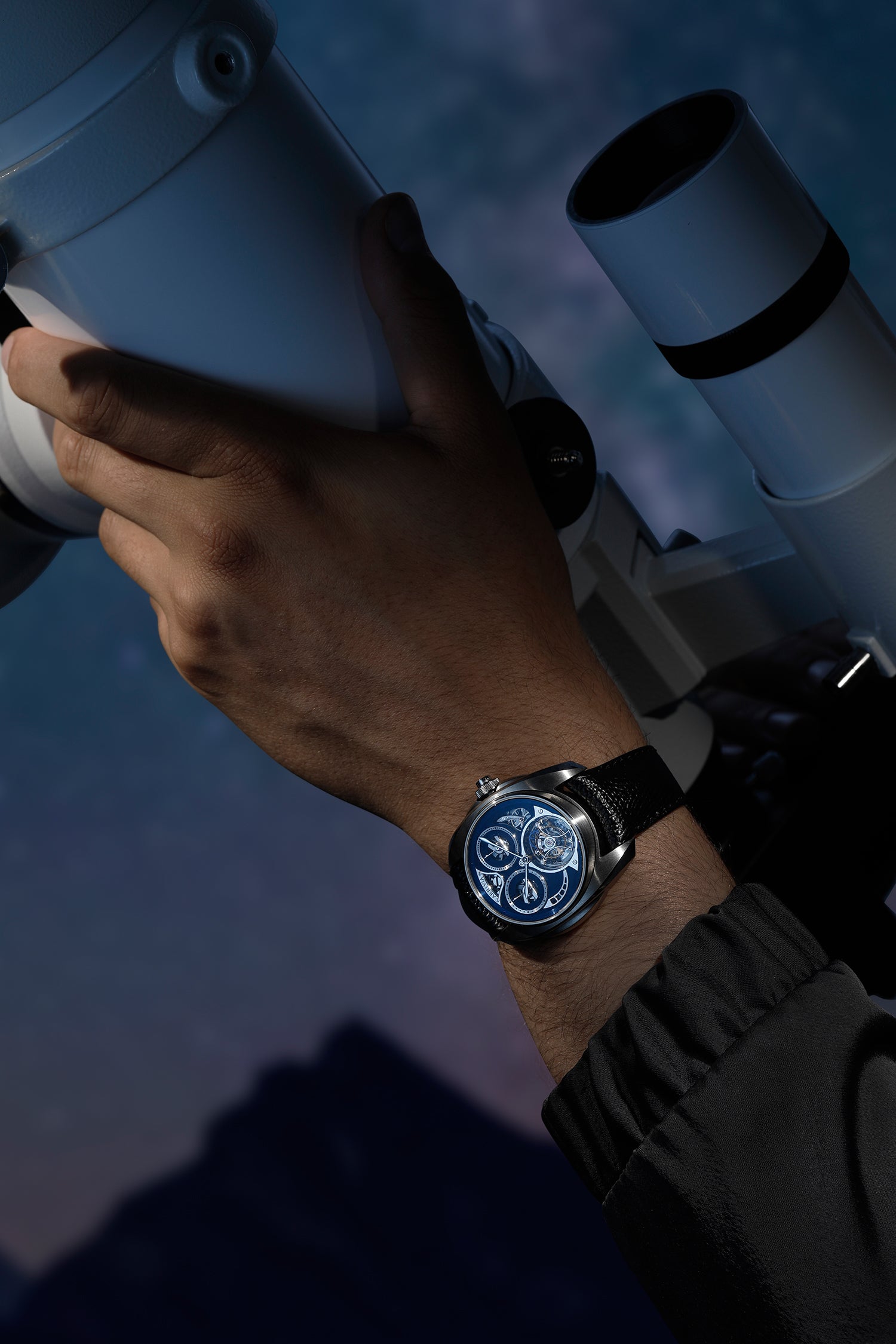 Akrivia The Geneva Watch Auction: XX