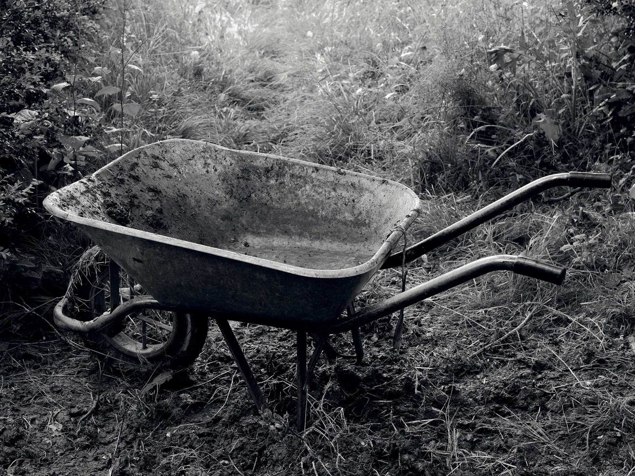 <b>DENIS PIEL </b><i>Down To Earth No.148</i>, 2013