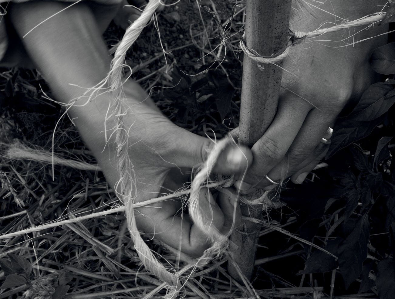 <b>DENIS PIEL </b><i>Down To Earth No.29</i>, 2014