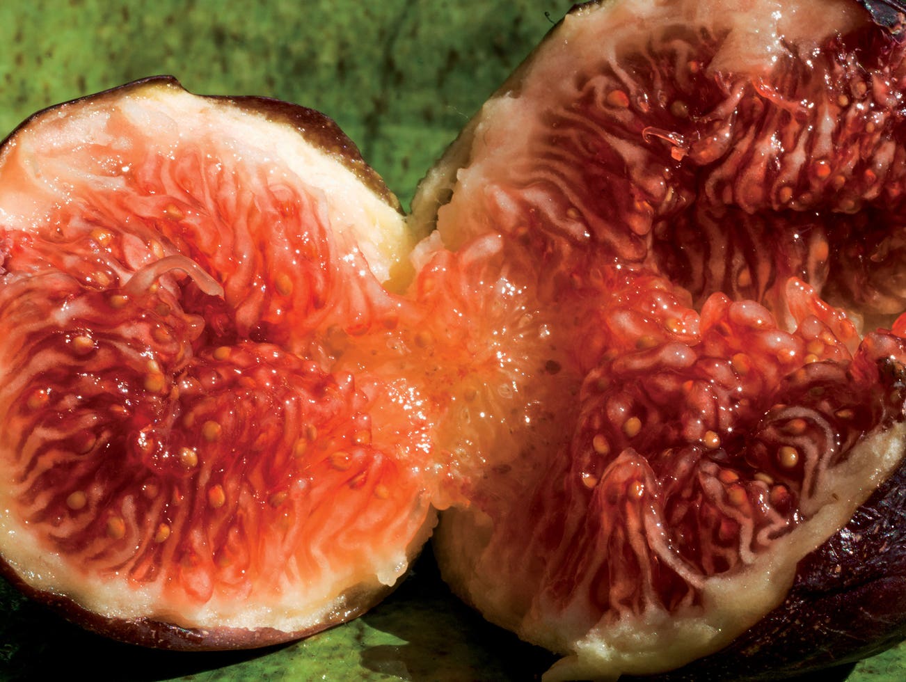 <b>DENIS PIEL </b><i>Down To Earth No.110</i>, 2013