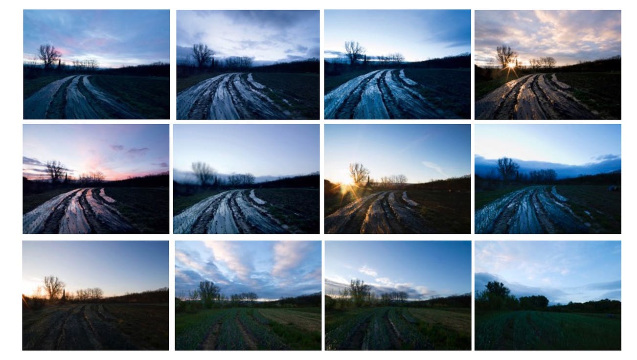 <b>DENIS PIEL</b> <i>Down To Earth Growth @ Sunrise 1-12</i>, 2014