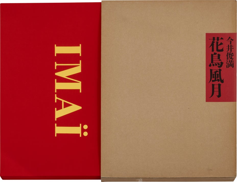 Lot 7