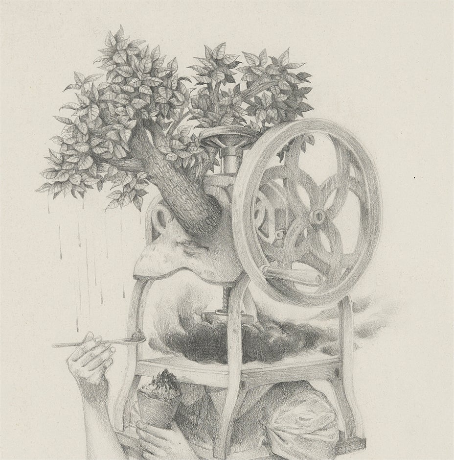 Lot 1