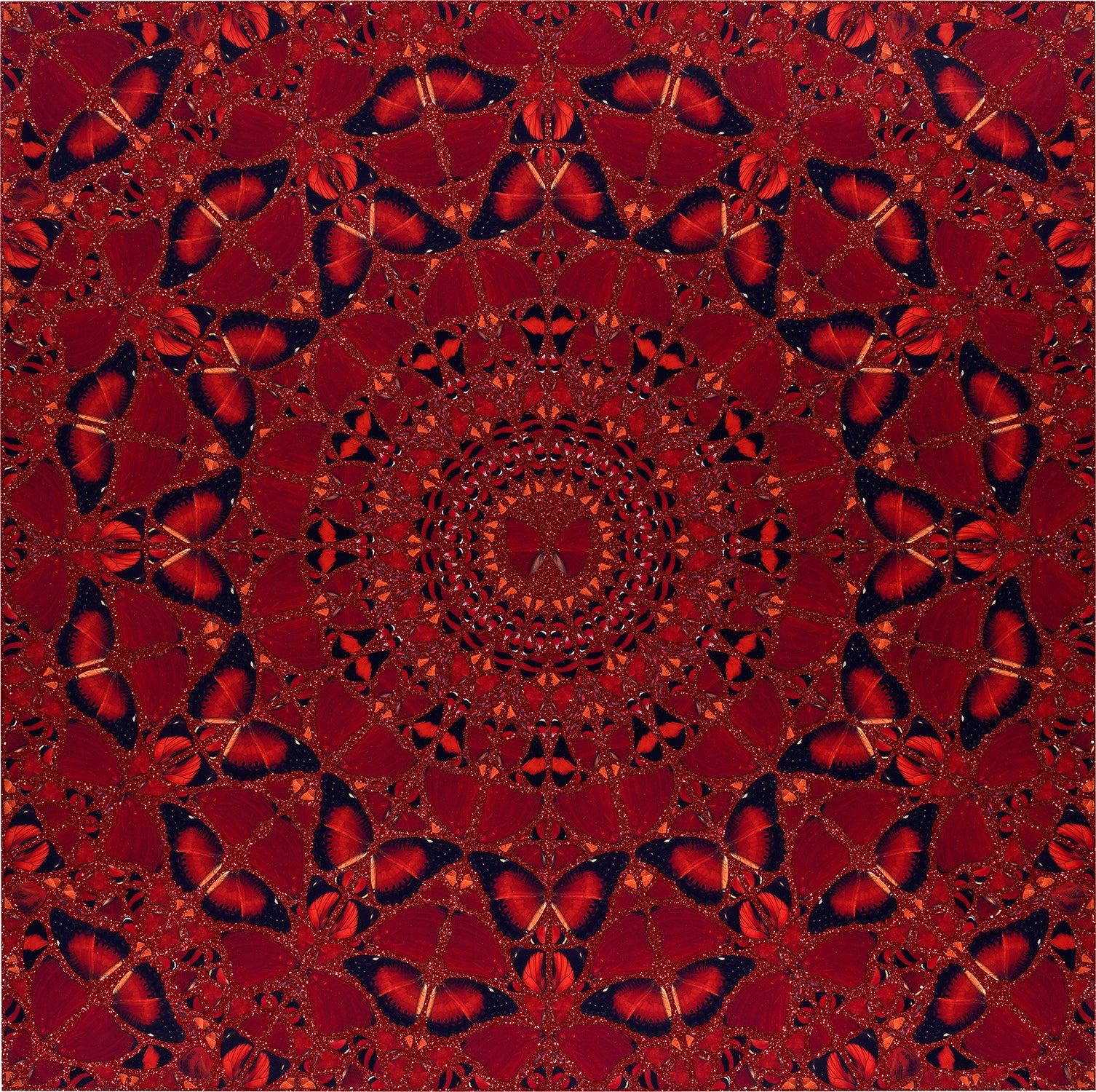 Damien Hirst Editions, Photographs and Design