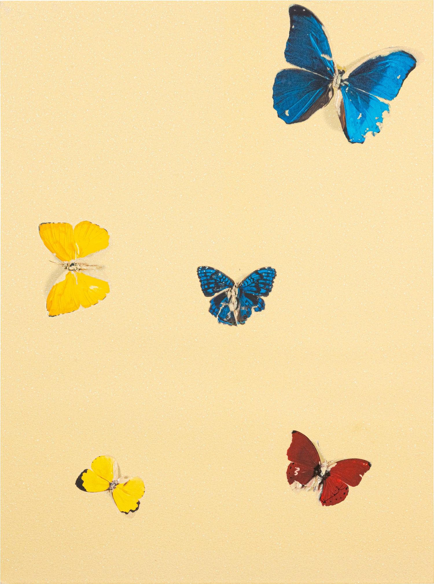 Damien Hirst Editions, Photographs and Design