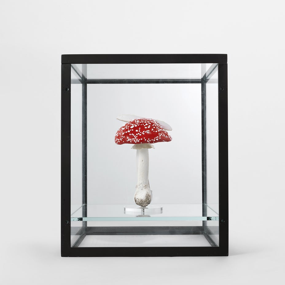 Brought to you by Phillips