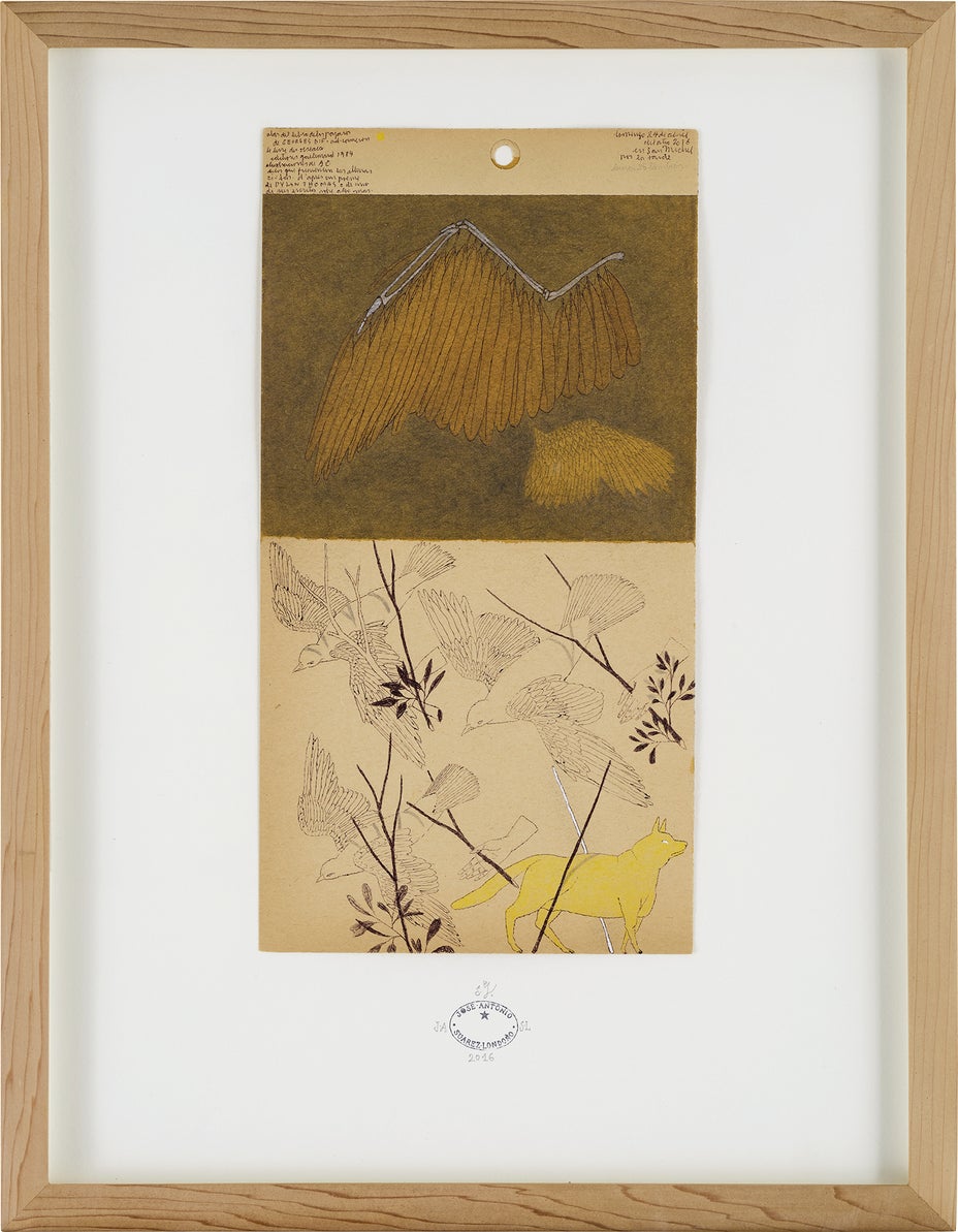 Lot 6