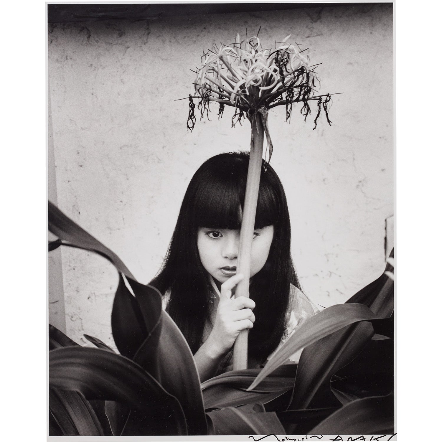 Wolfgang Tillmans Intersect: Online Auction