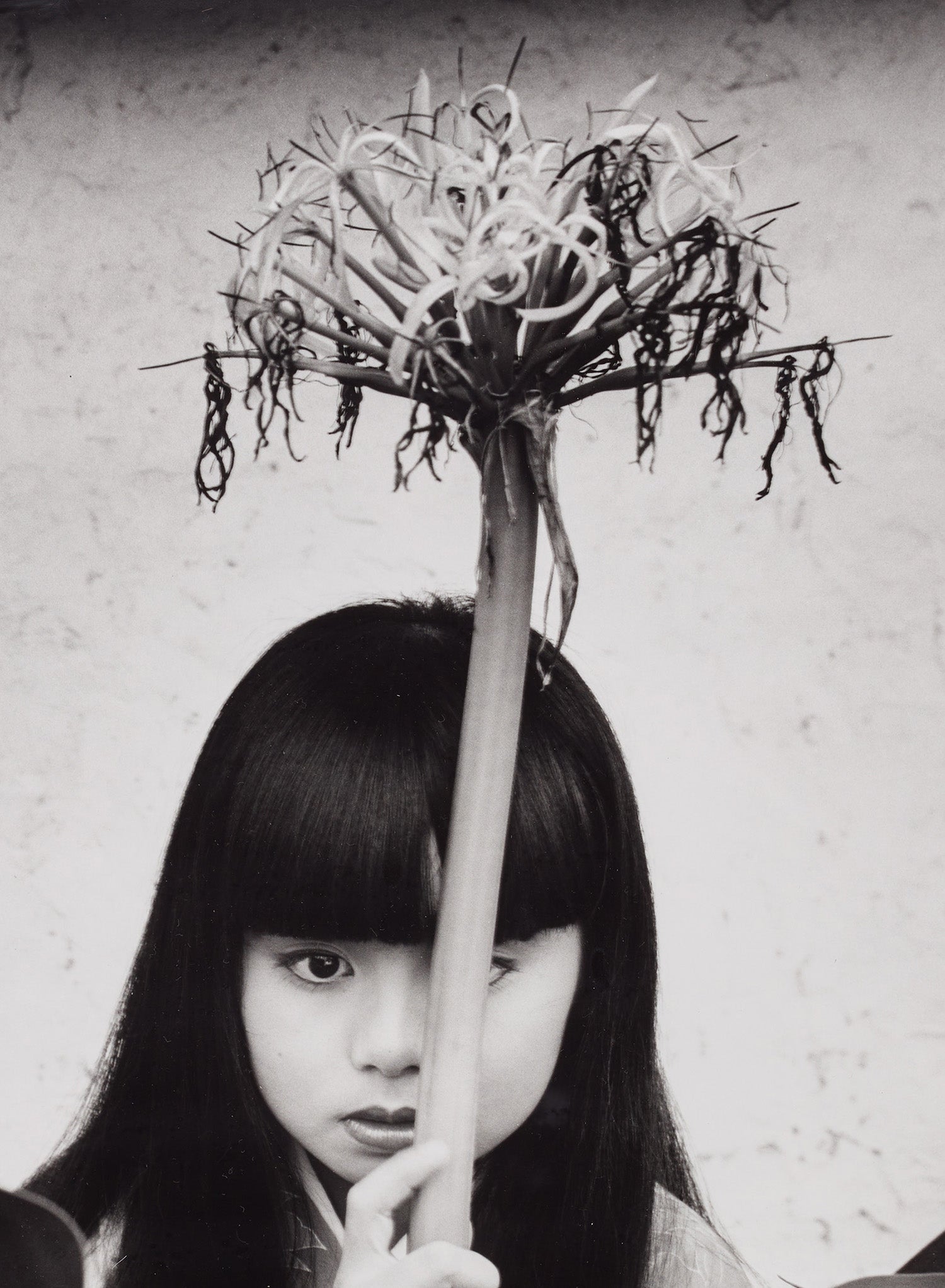 Nobuyoshi Araki Intersect: Online Auction