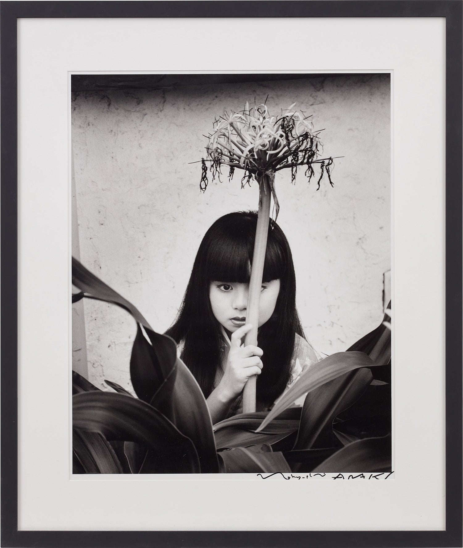 Nobuyoshi Araki Intersect: Online Auction