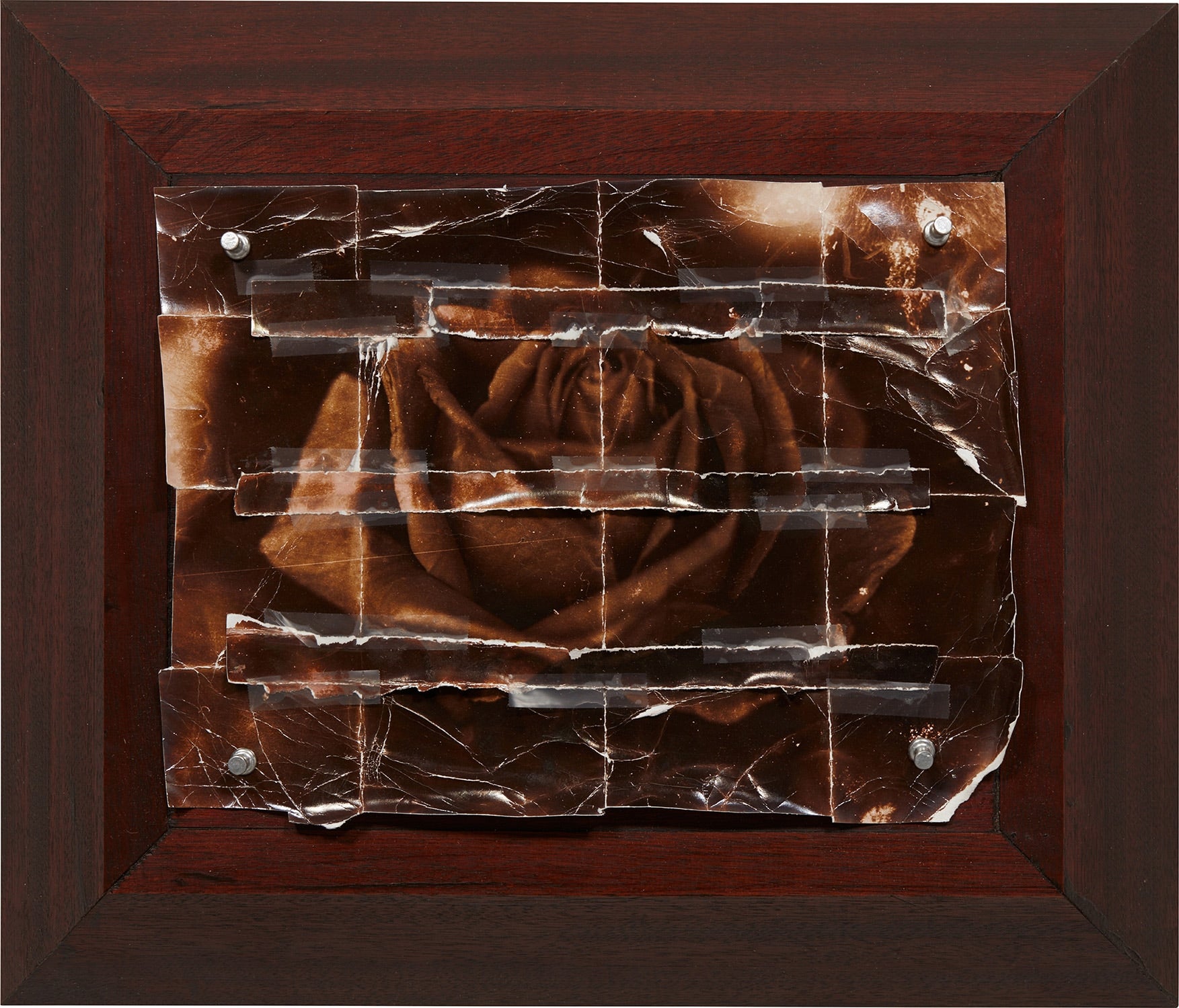 Doug Starn and Mike Starn: Works for Sale, Upcoming Auctions