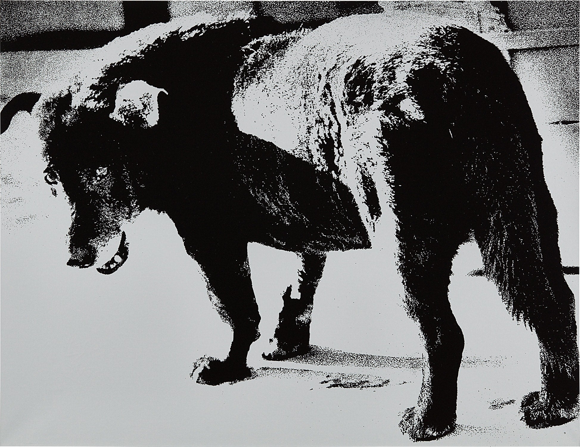 Daidō Moriyama: Works for Sale, Upcoming Auctions & Past Results