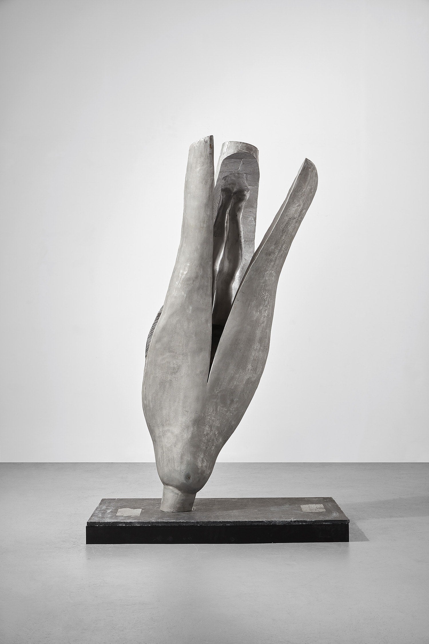 Marc Quinn connect / reflect / COLLECT a selection of contemporary art