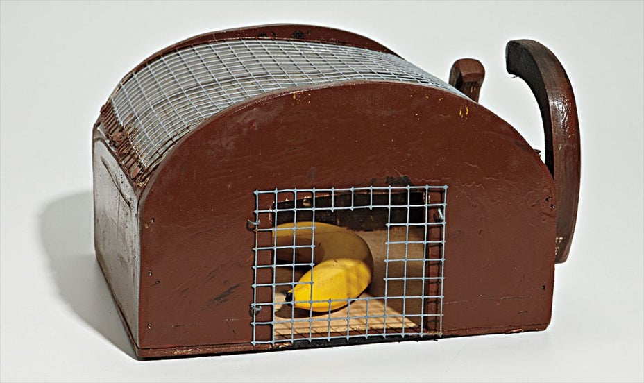 Brought to you by Phillips