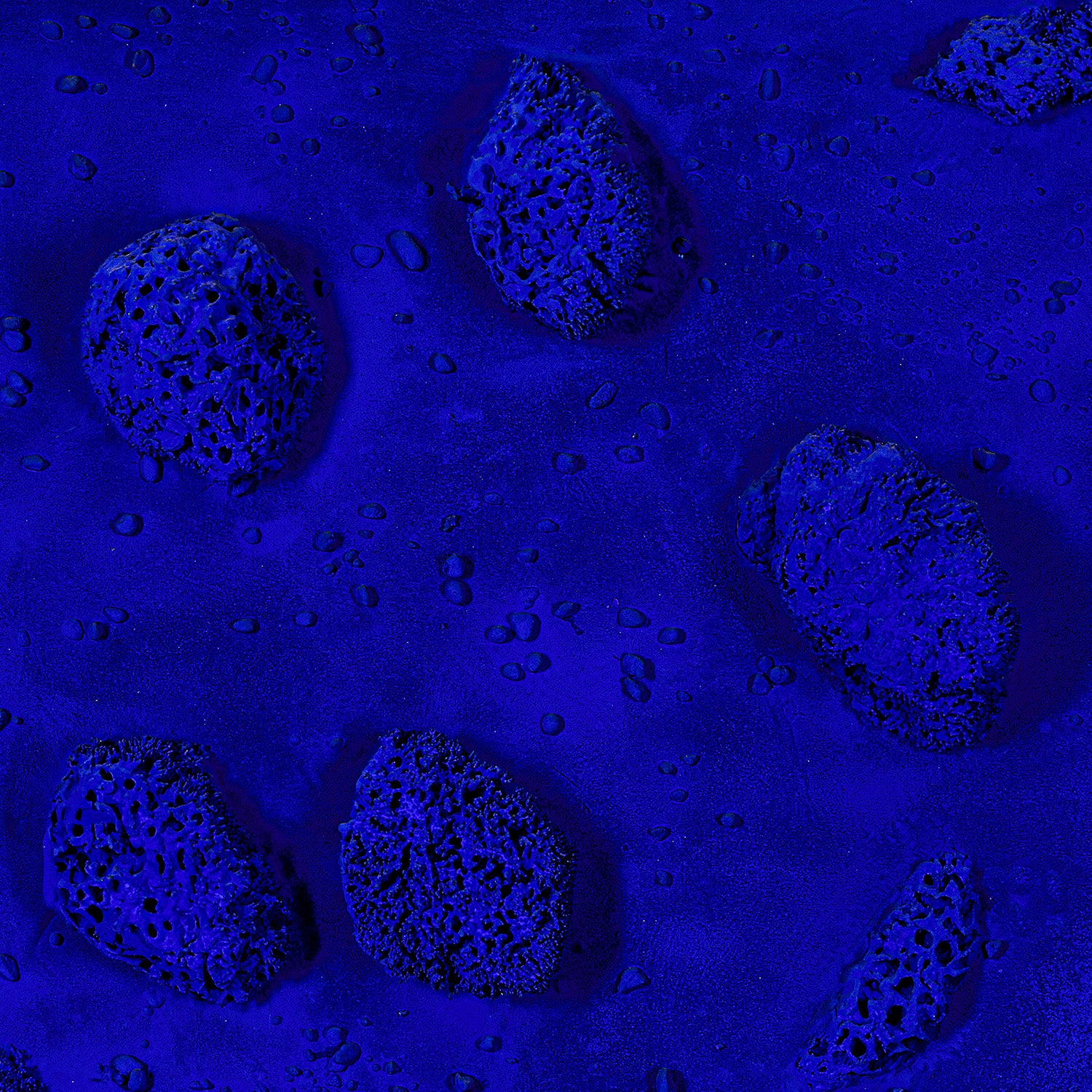 Yves Klein 20th Century & Contemporary Art Evening Sale