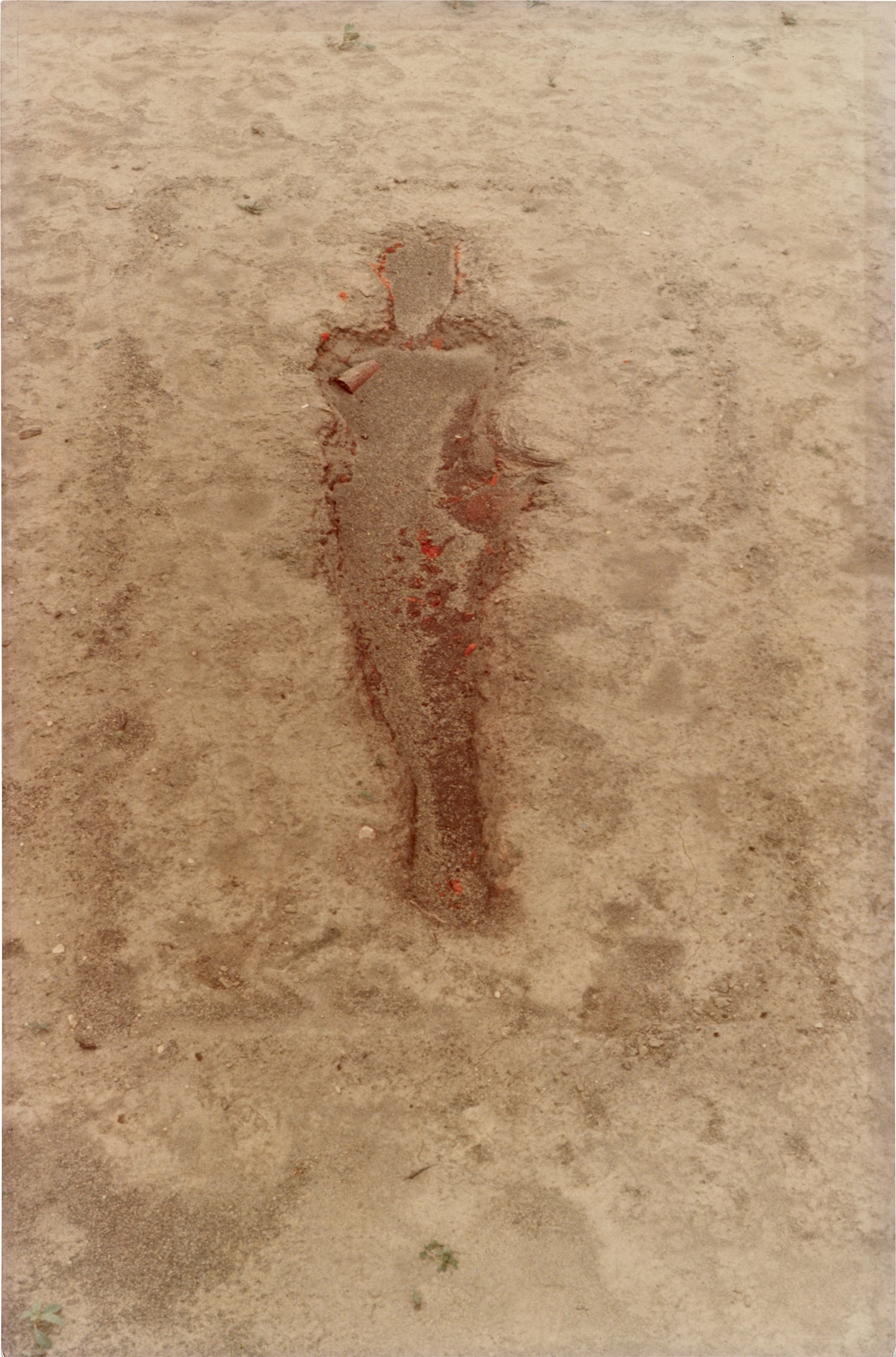 Ana Mendieta New Now: Modern & Contemporary Art