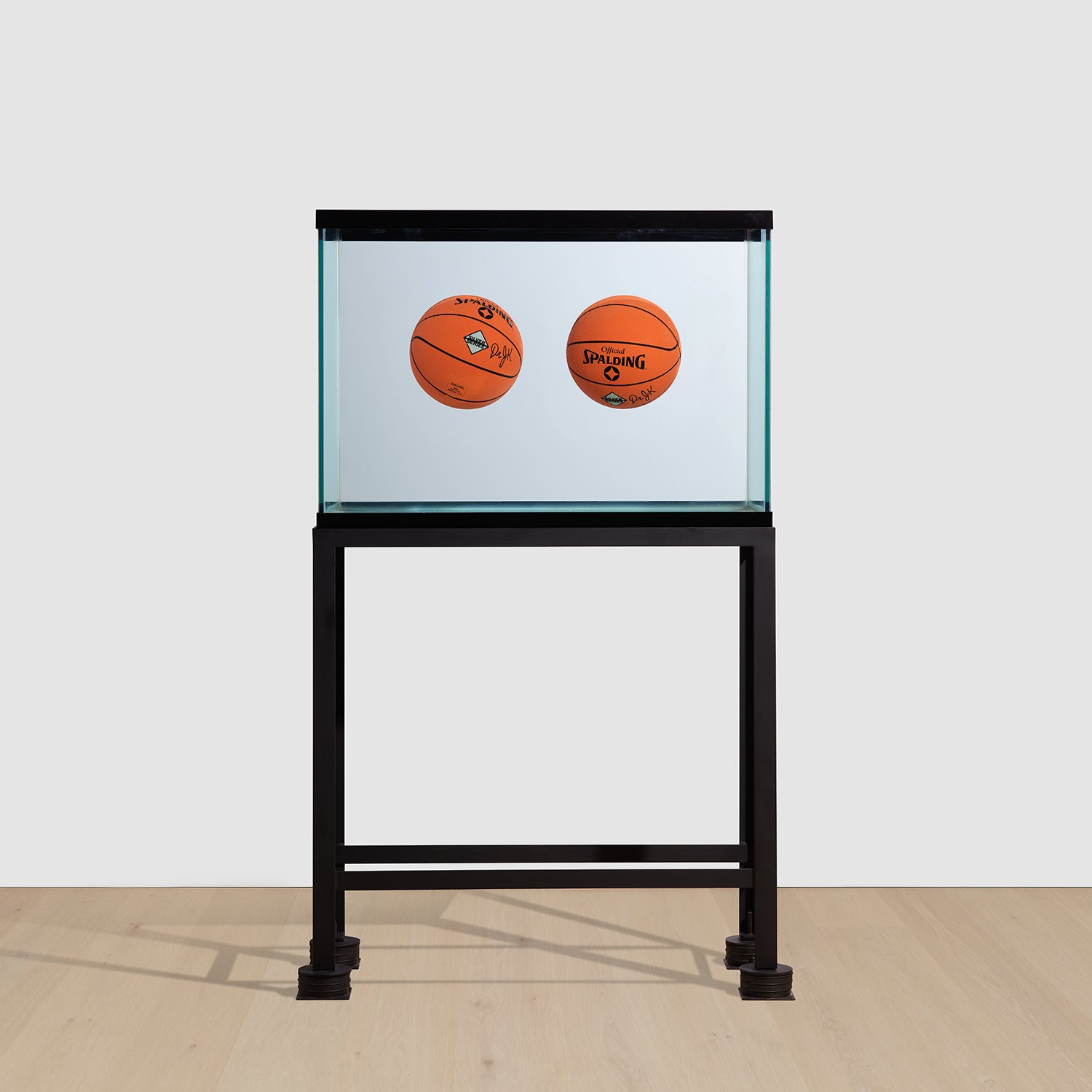 Two Ball Total Equilibrium Tank (Spalding Dr. J Silver Series)