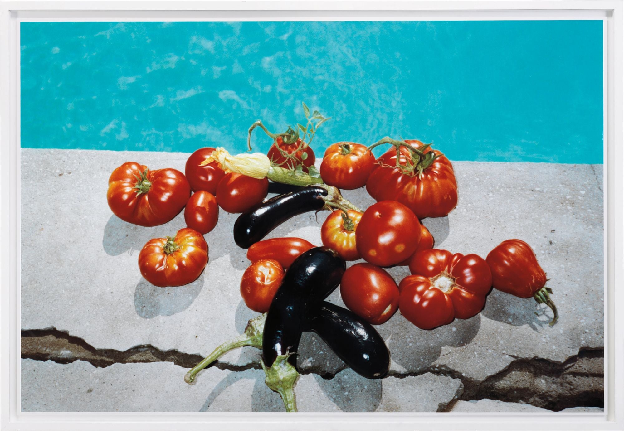 Wolfgang Tillmans Contemporary Art Day Sale