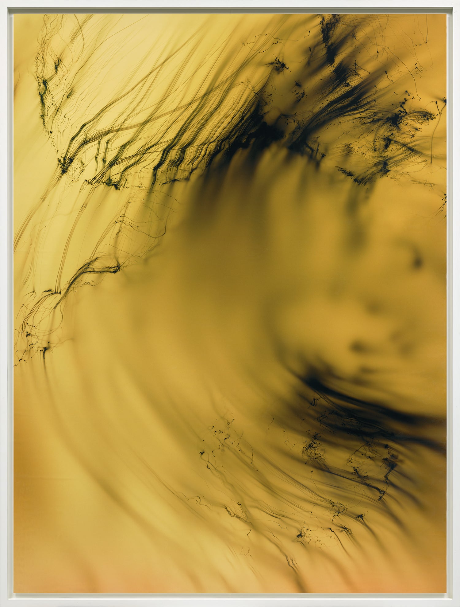 Wolfgang Tillmans Modern & Contemporary Art Day Sale, Afternoon