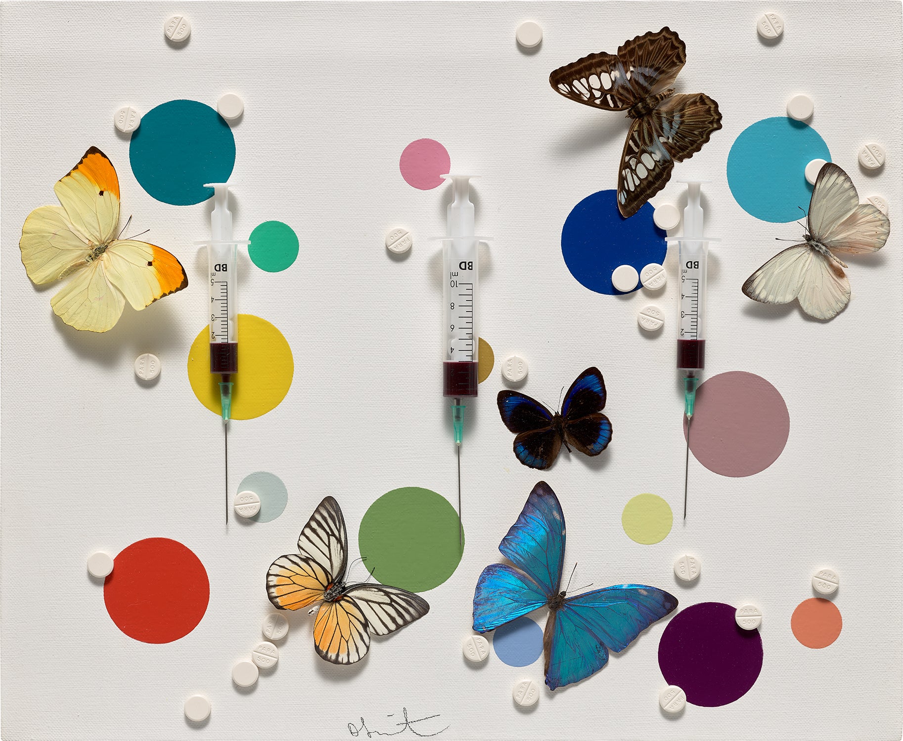 Damien Hirst 20th Century & Contemporary Art