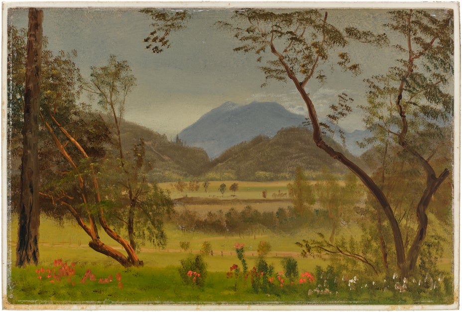 Lot 1
