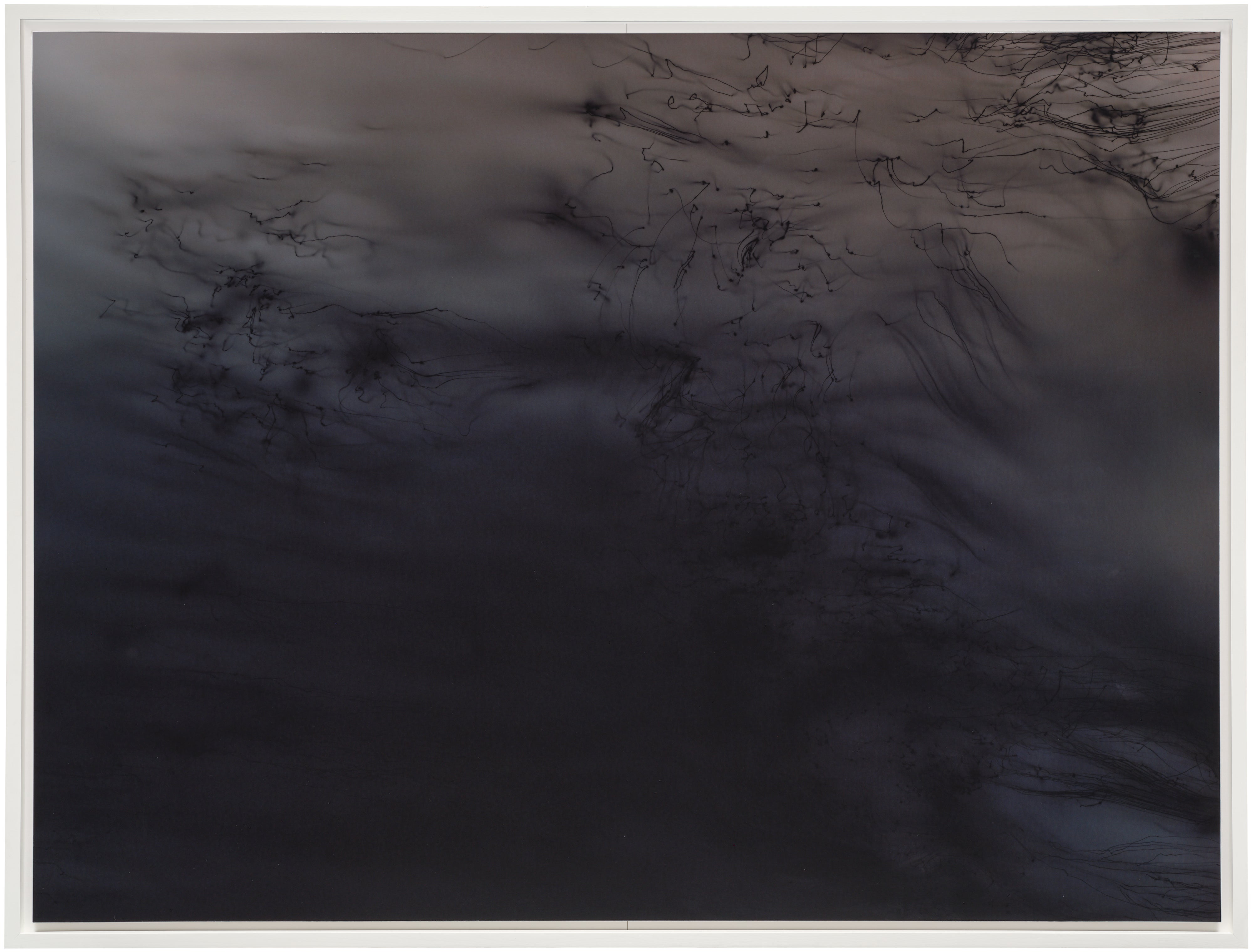 Wolfgang Tillmans: Works for Sale, Upcoming Auctions & Past Results