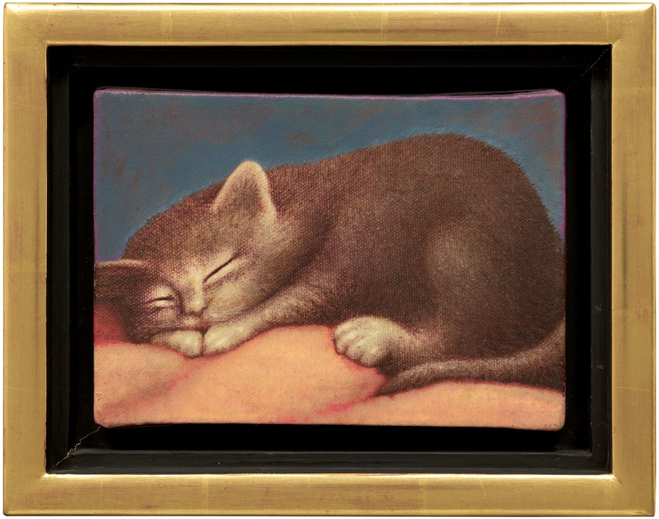 Lot 7