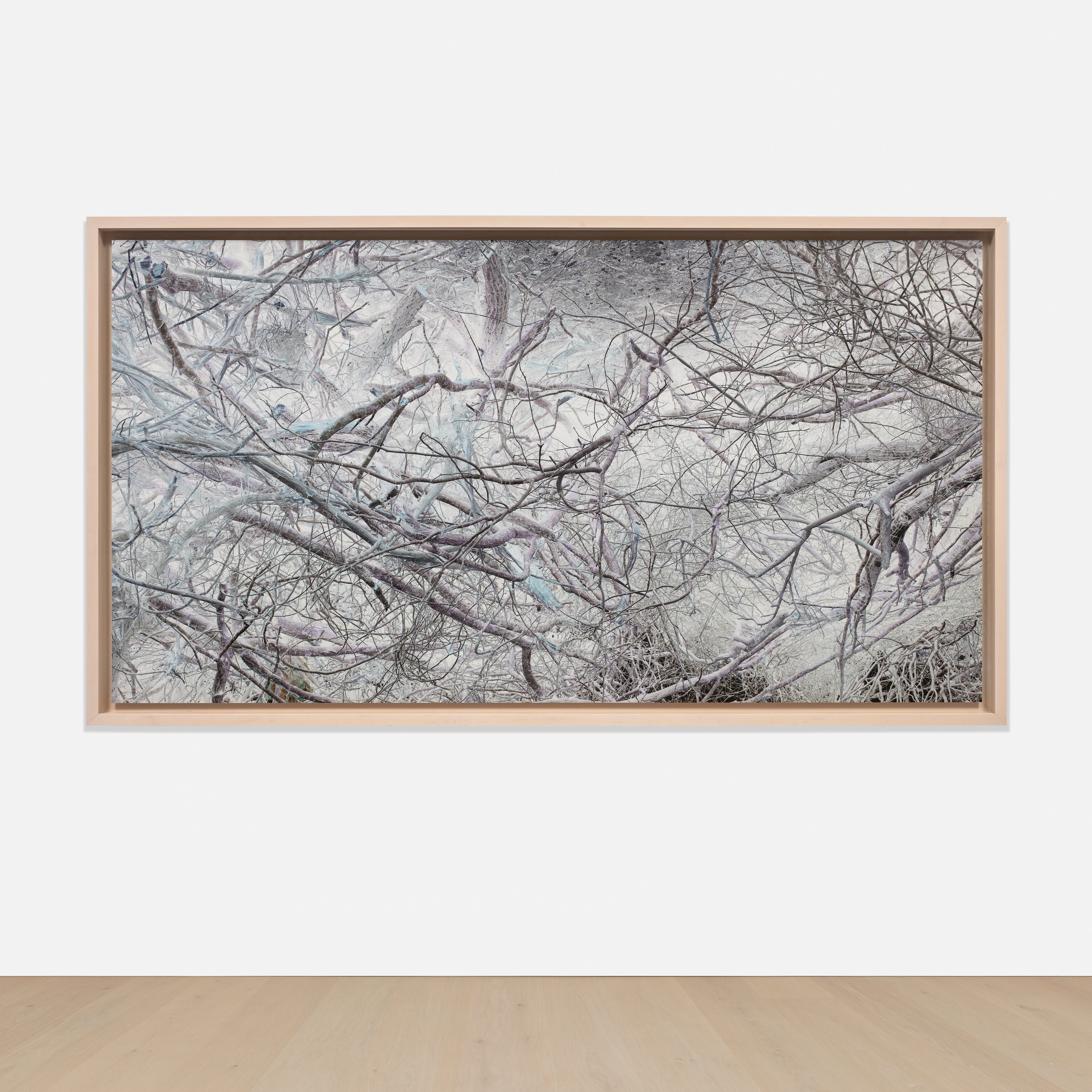 Richard Misrach: Works for Sale, Upcoming Auctions & Past Results