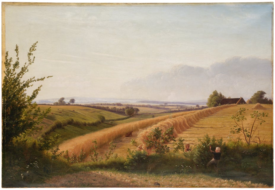 Lot 1