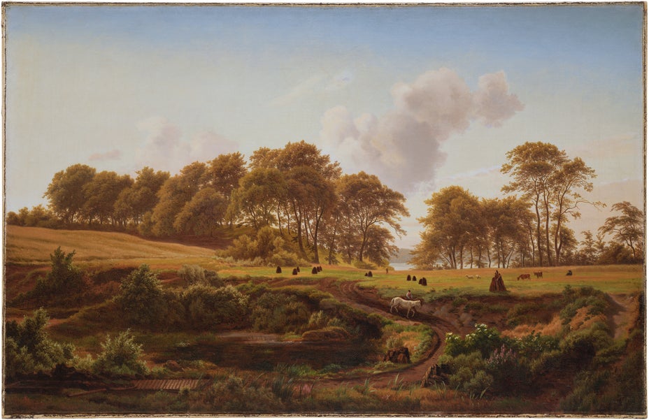 Lot 1