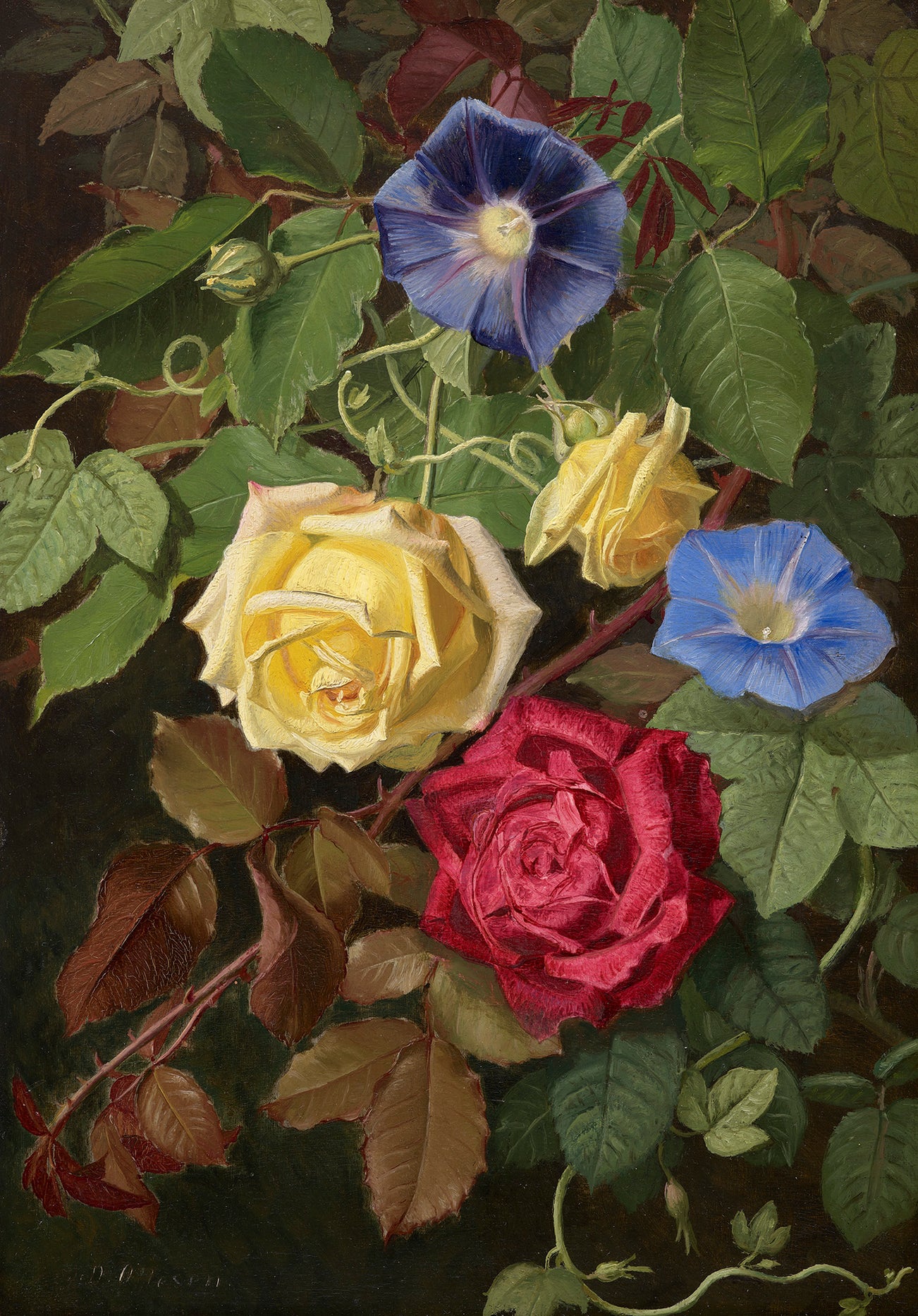 <p><strong>O.D. OTTESEN</strong> <em>Roses and Ipomoea (Rose og Ipomea, Roserne Marskal Niel og Monsieur Bonsenne),</em> $2,000-4,000</p>