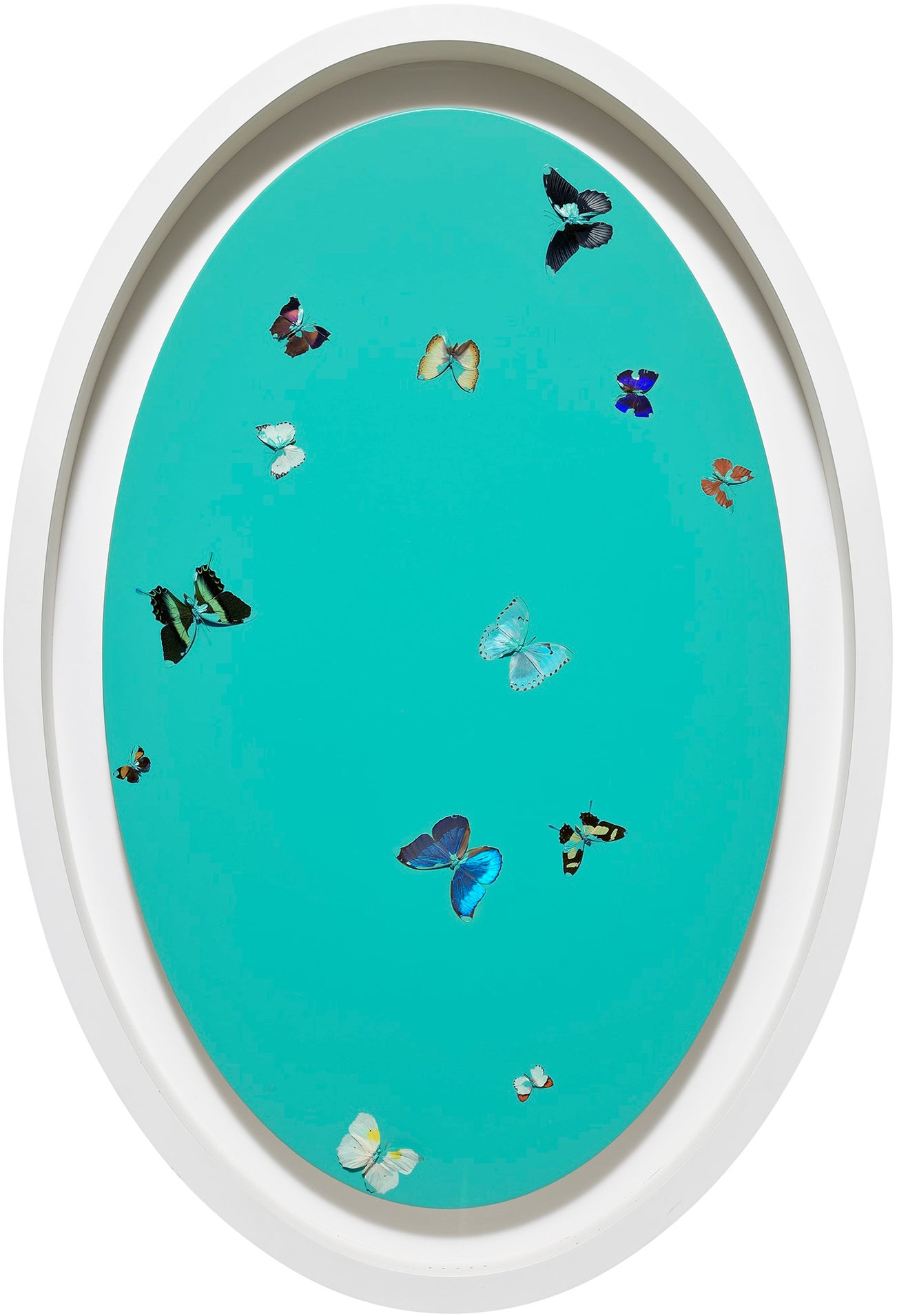 <p><strong>DAMIEN HIRST</strong> <em>Sexy Love, </em>2007</p>
