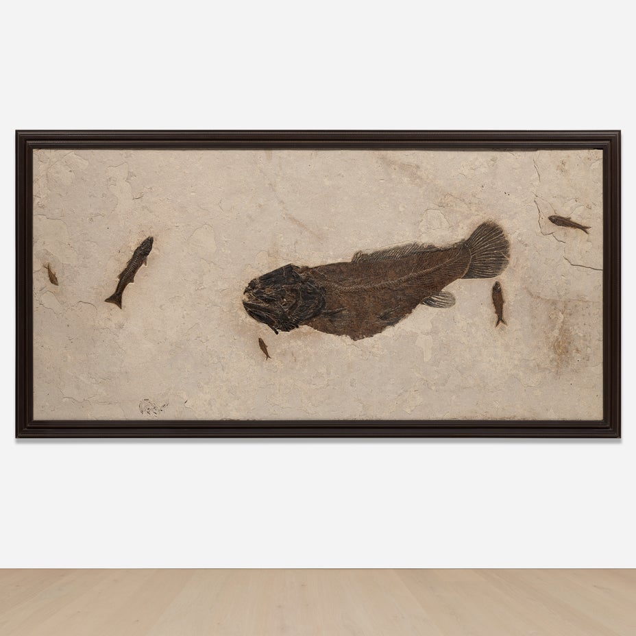 Brought to you by Phillips