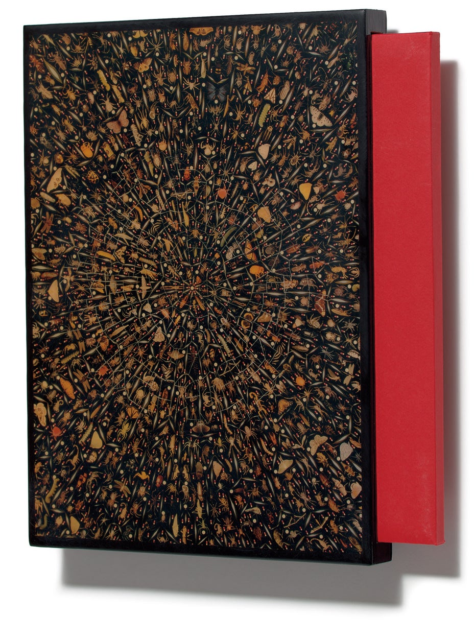 Brought to you by Phillips