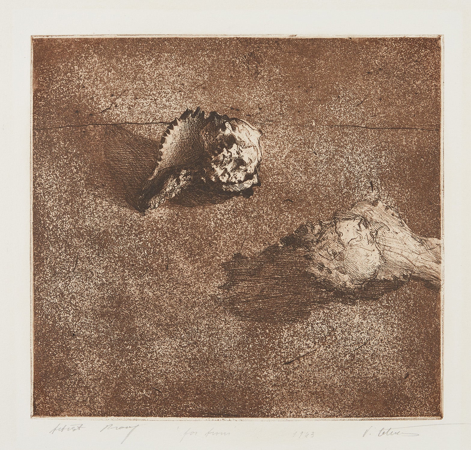 Vija Celmins Editions & Works on Paper