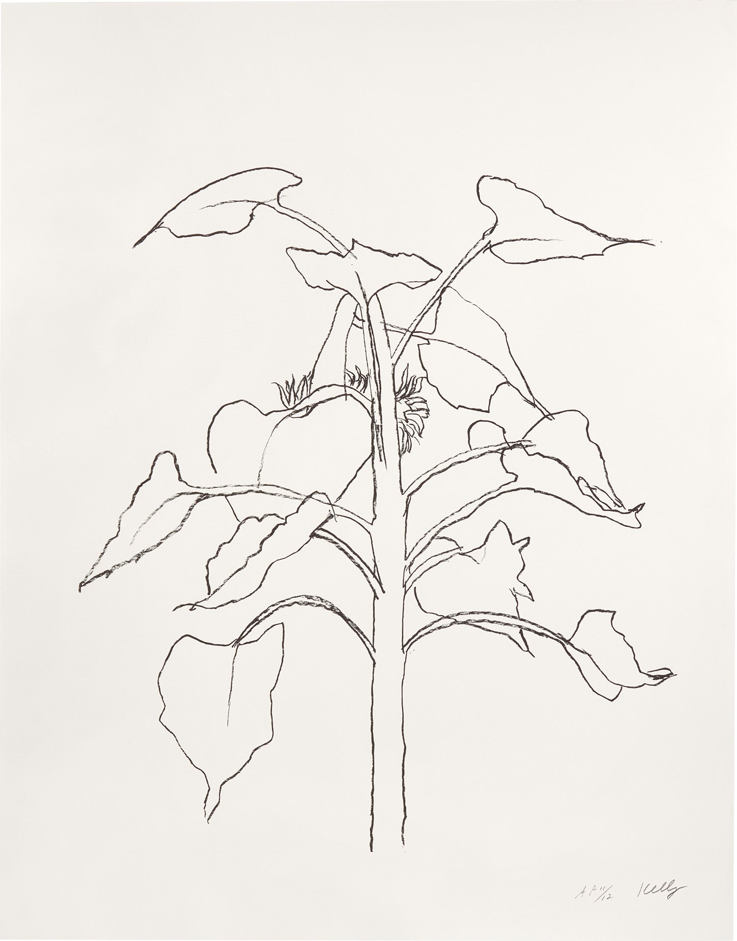 Sunflower I (G. 2009, A. 313)