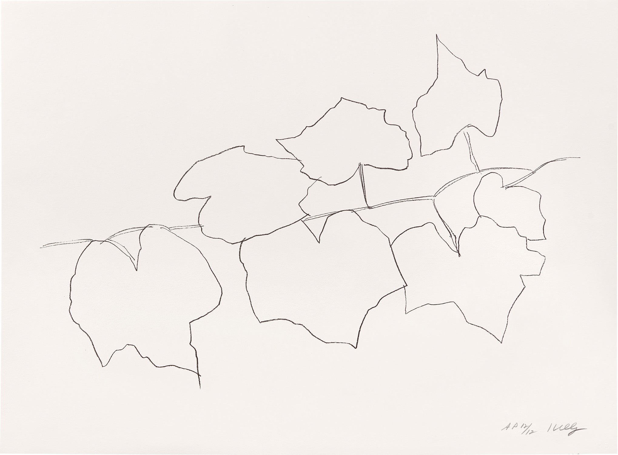Wild Grape Leaves II (G. 2012, A. 312)