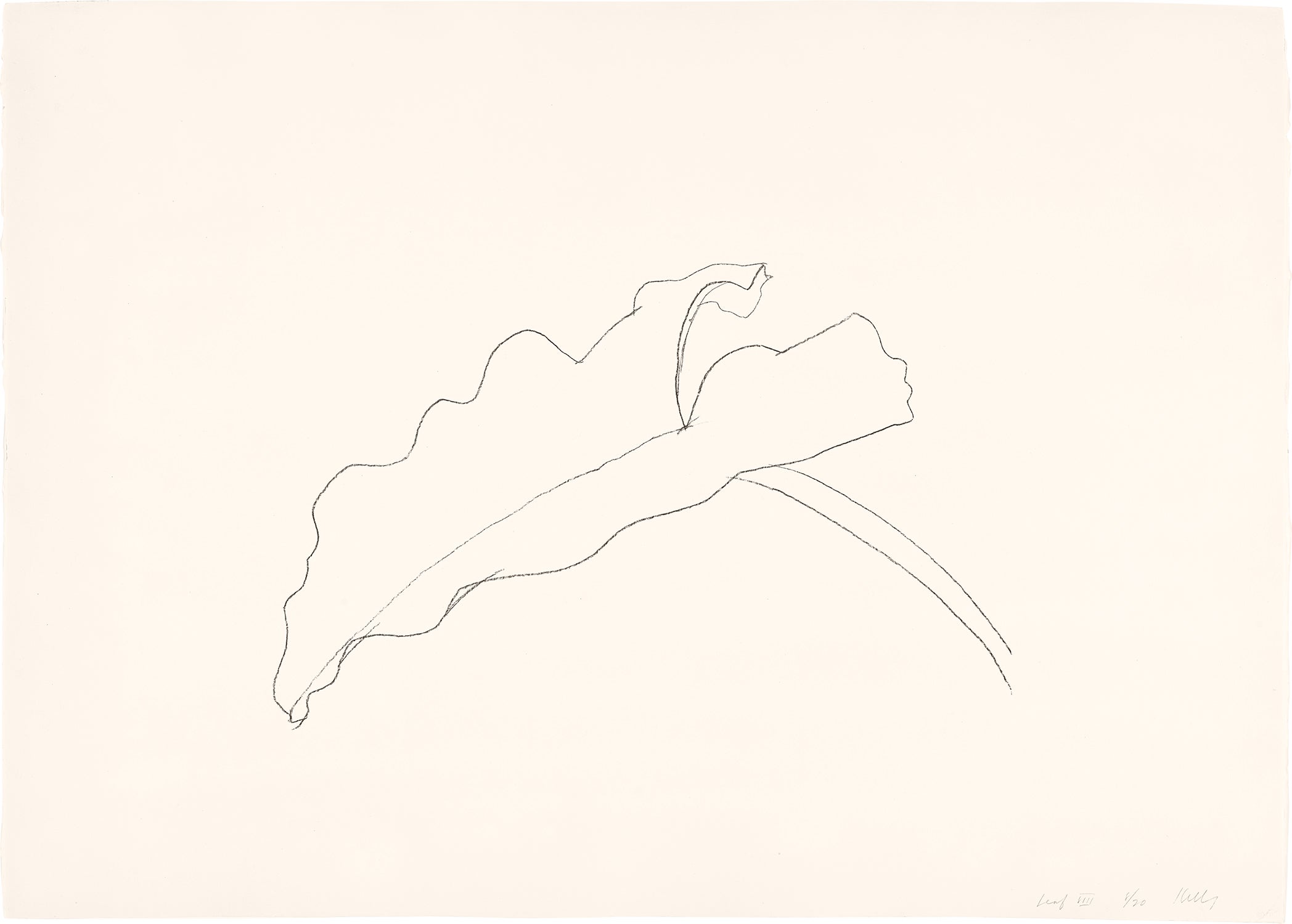 Ellsworth Kelly Editions & Works on Paper