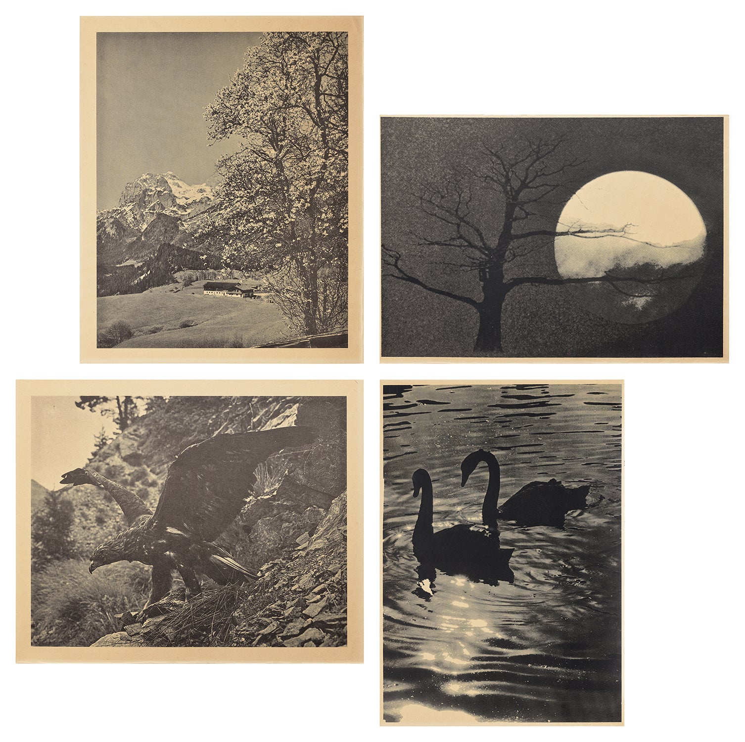 Hans-Peter Feldmann Editions & Works on Paper