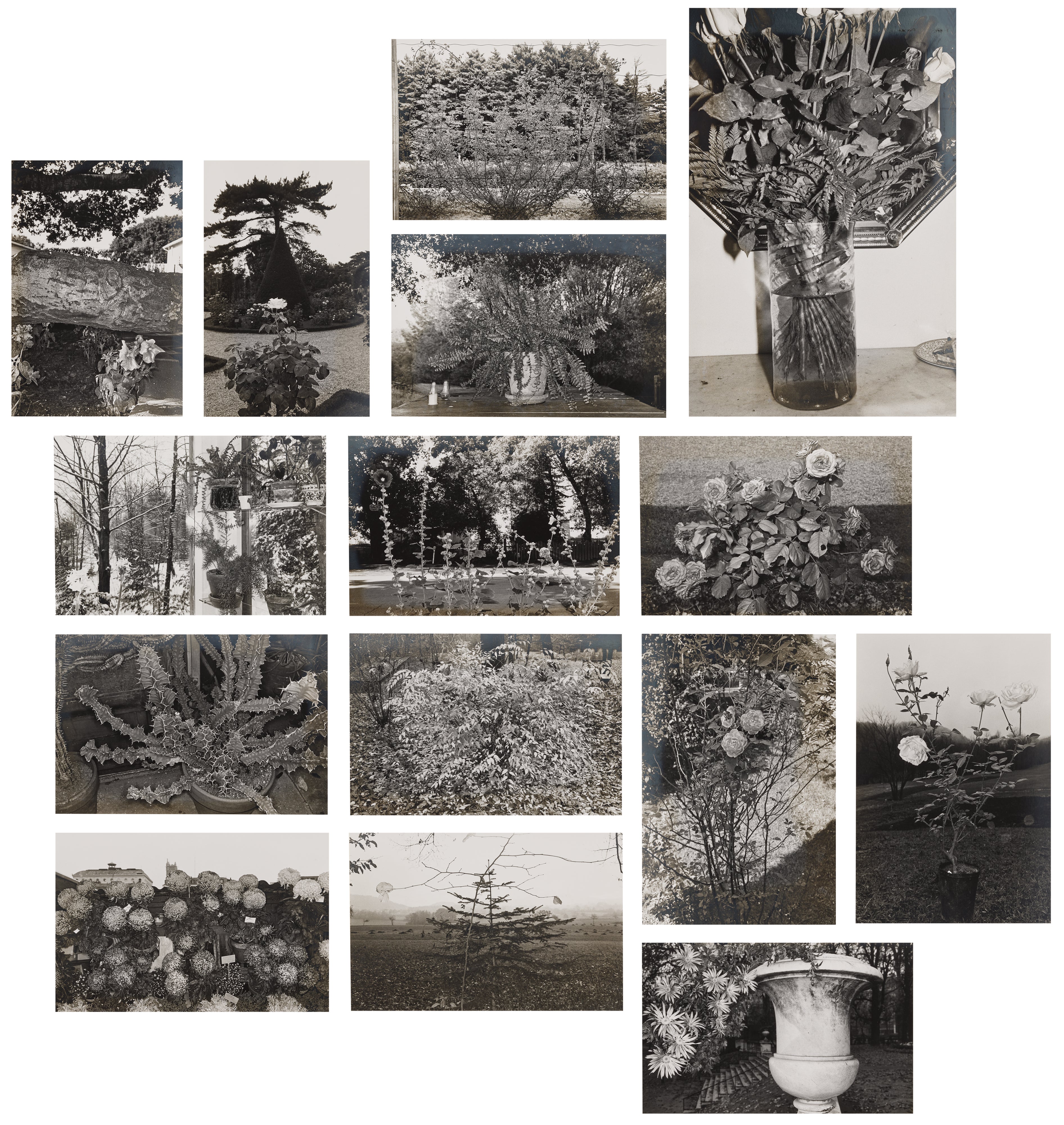 Lee Friedlander: Works for Sale, Upcoming Auctions & Past Results