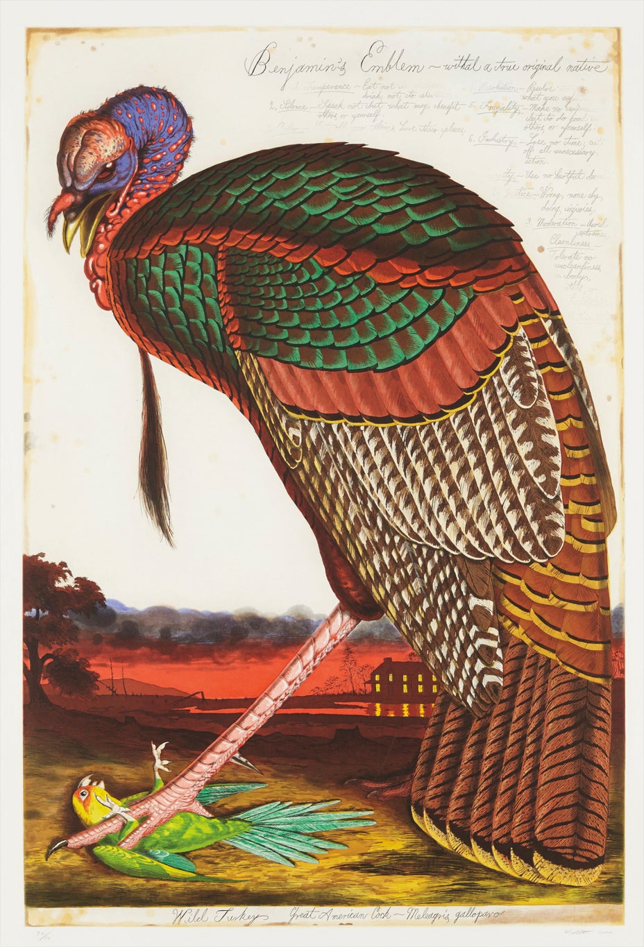 Brought to you by Phillips