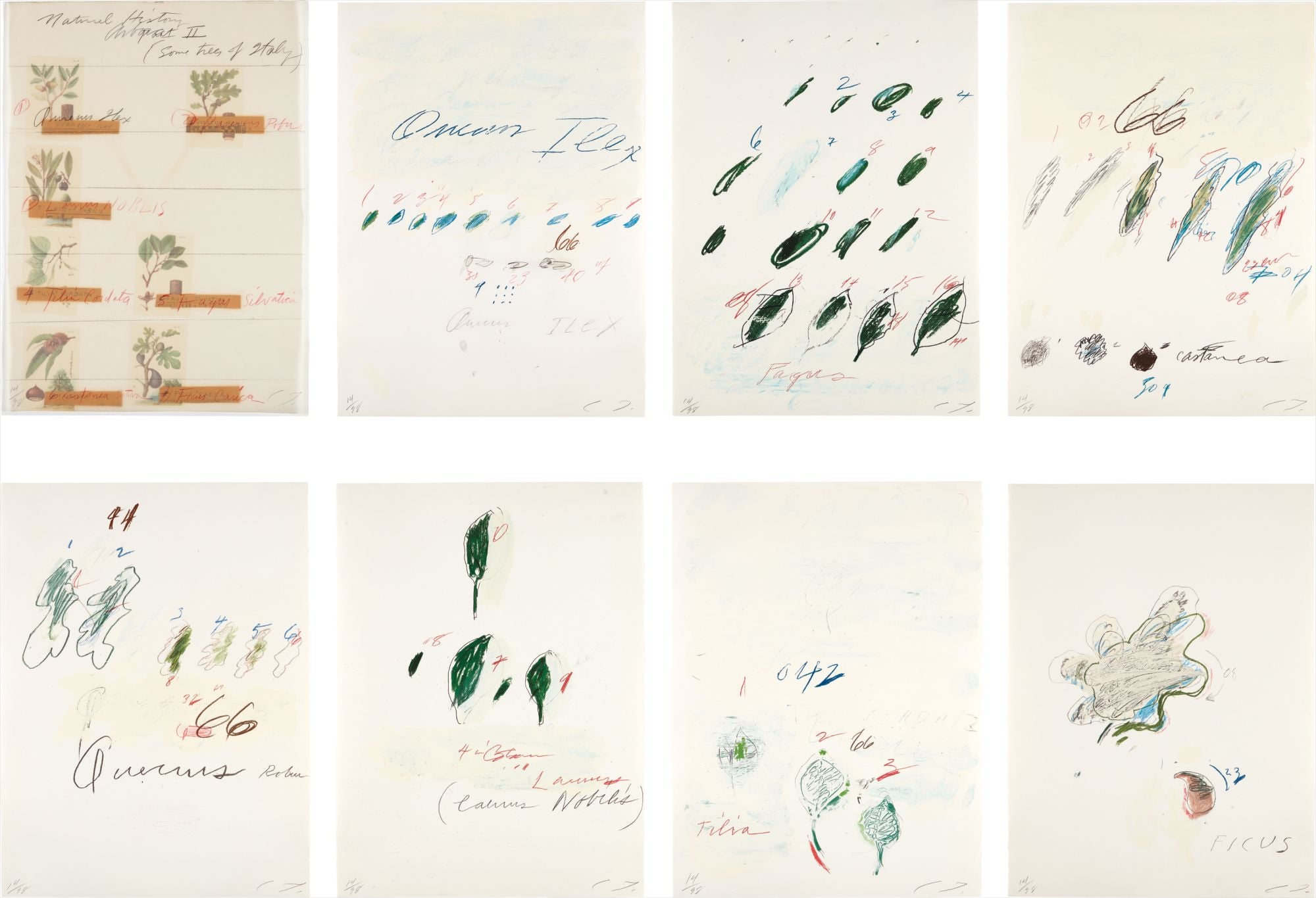 Cy Twombly Editions & Works on Paper