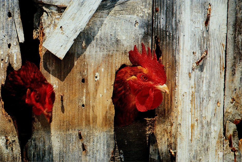 Brought to you by Phillips