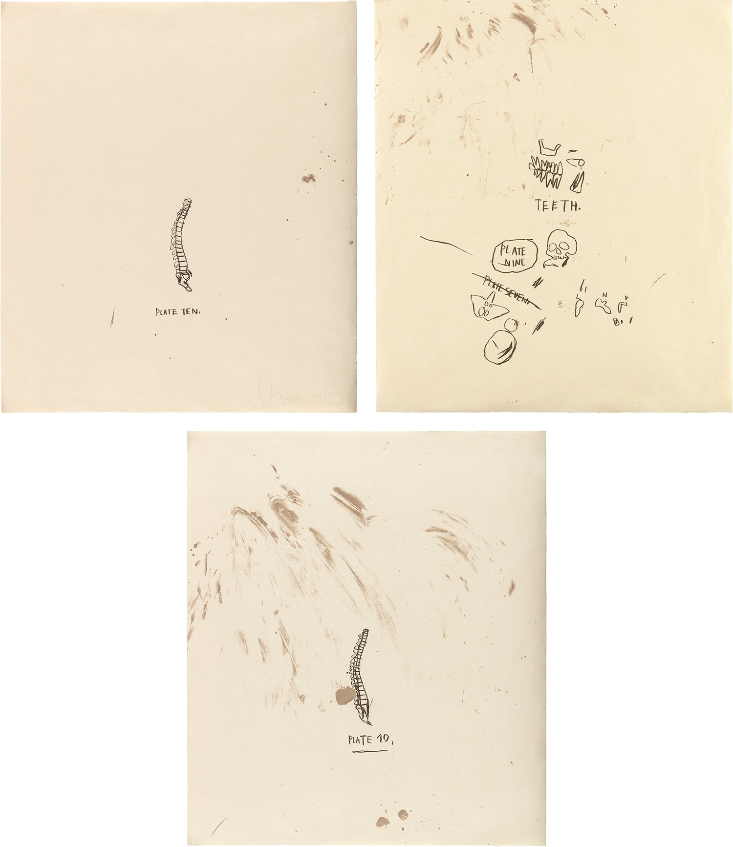 Untitled (Plate Ten); Untitled (Teeth); and Untitled (Plate 10), from Untitled: from Leonardo