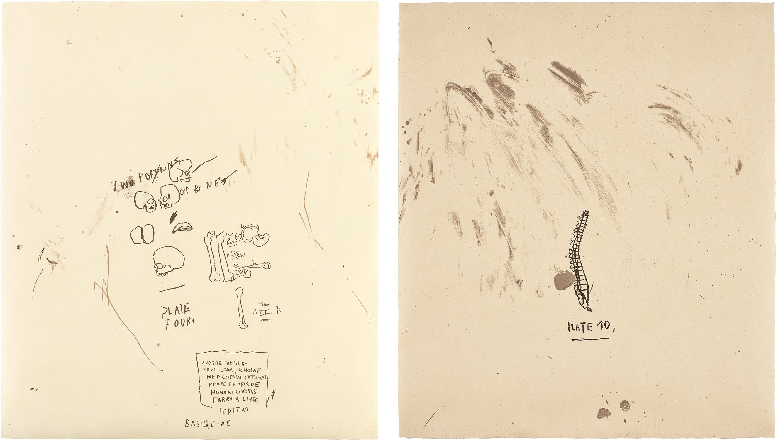 Untitled (Two Portions of Bones); and Untitled (Plate 10), from Untitled: from Leonardo