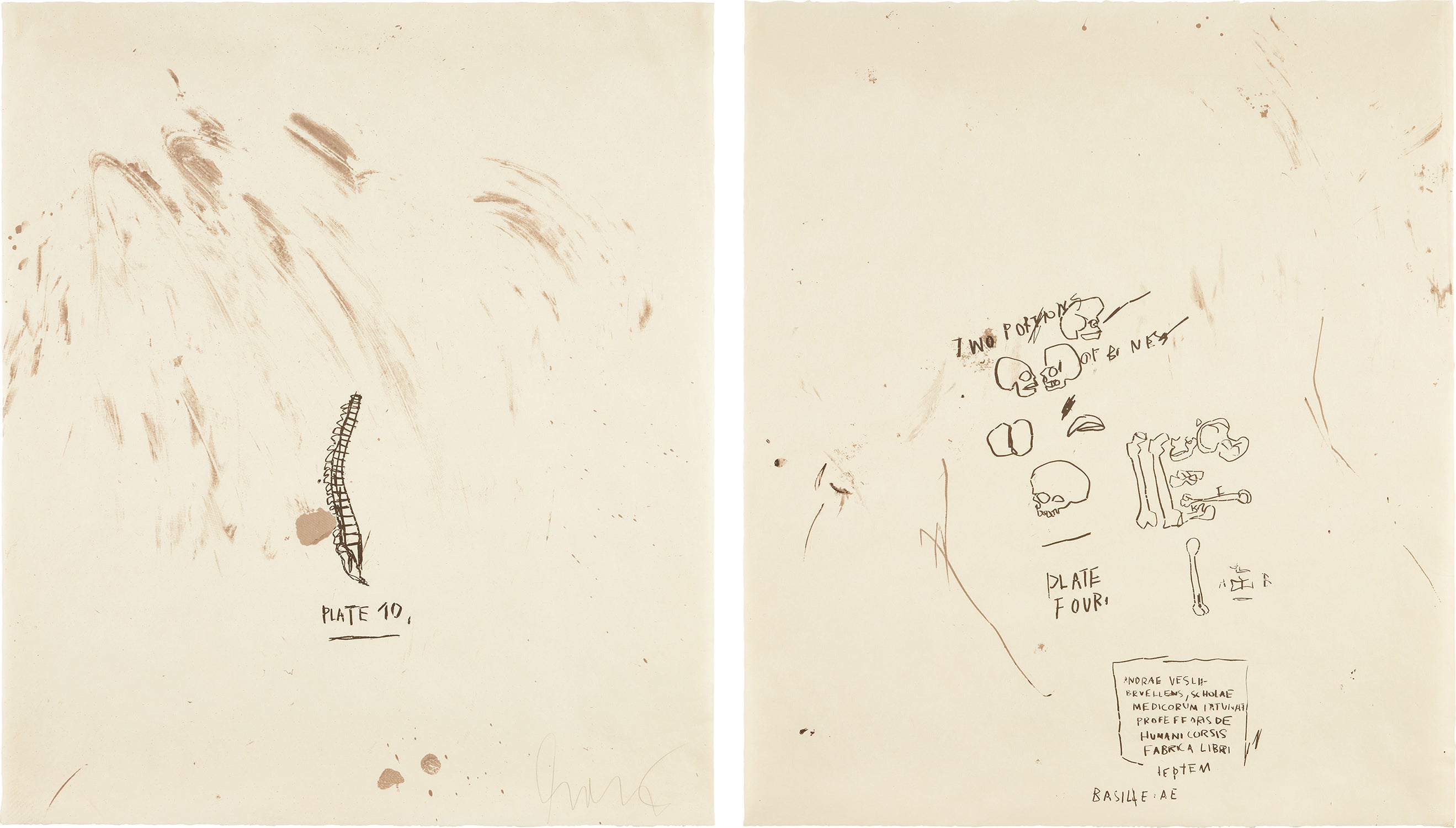 Untitled (Plate 10); and Untitled (Two Portions of Bones), from Untitled: from Leonardo