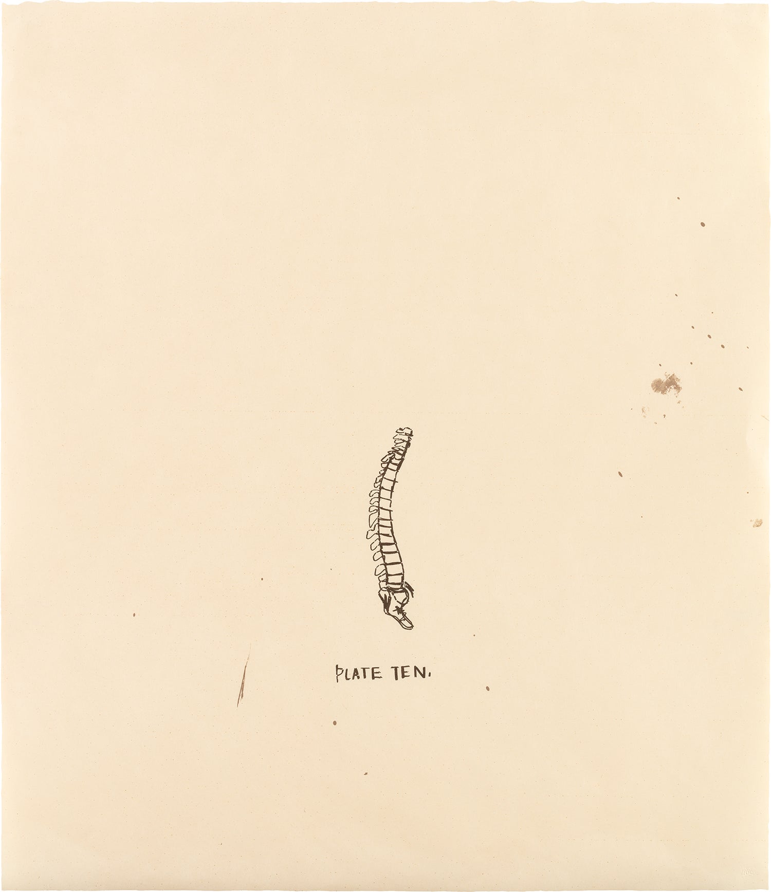 Untitled (Plate Ten), from Untitled: from Leonardo