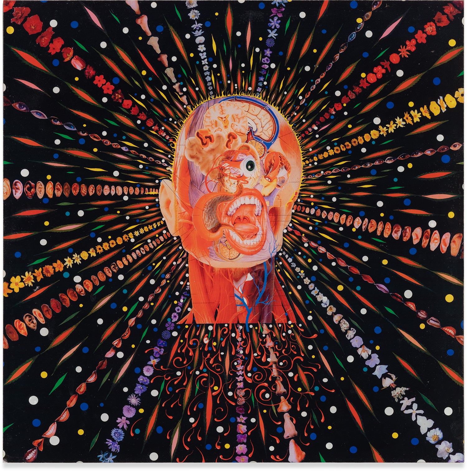 Fred Tomaselli　フレッド・トマセリ Better Living Through Chemistry: Fred Tomaselli's Psychedelic Art