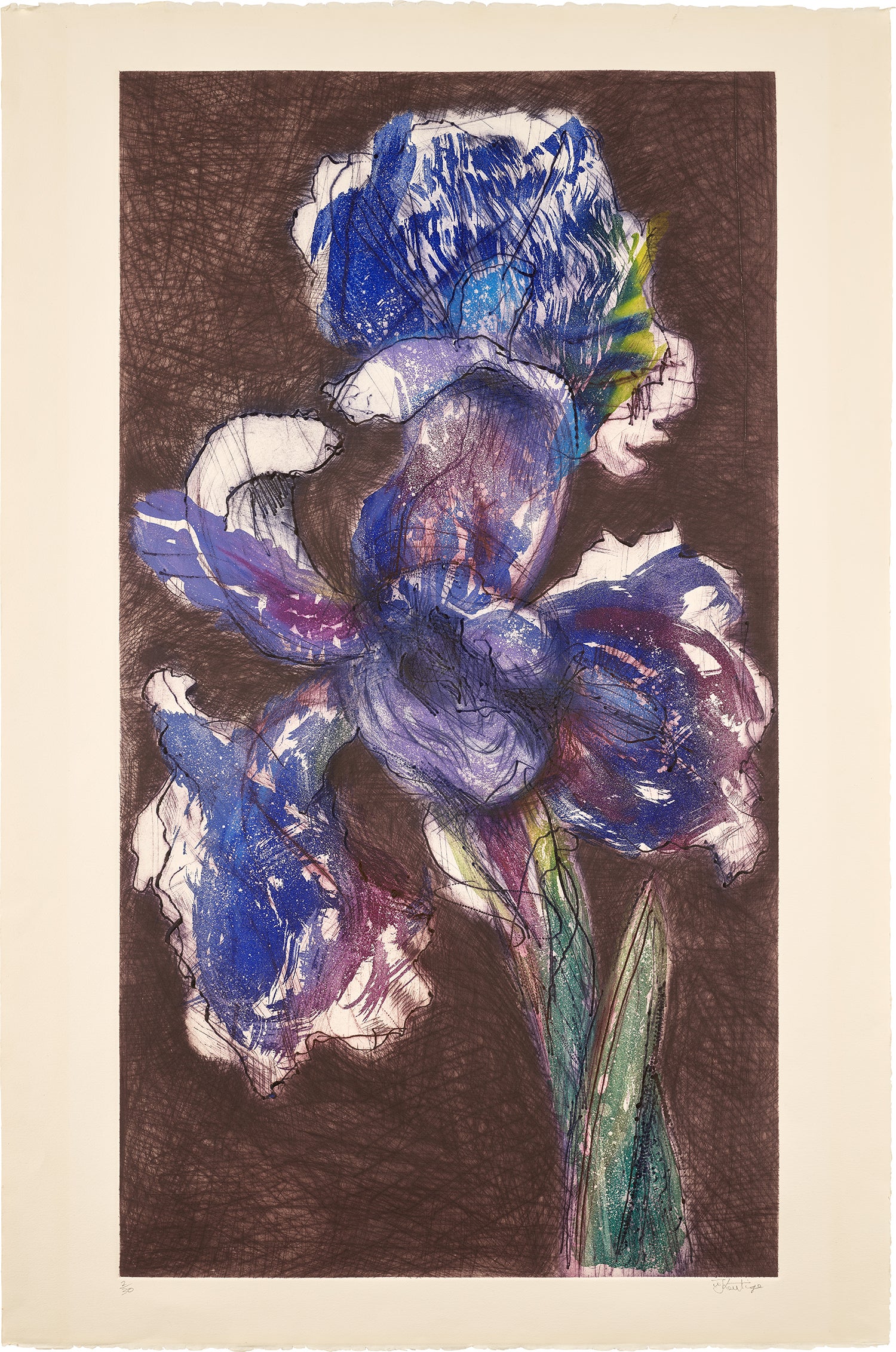 William Kentridge Editions & Works on Paper